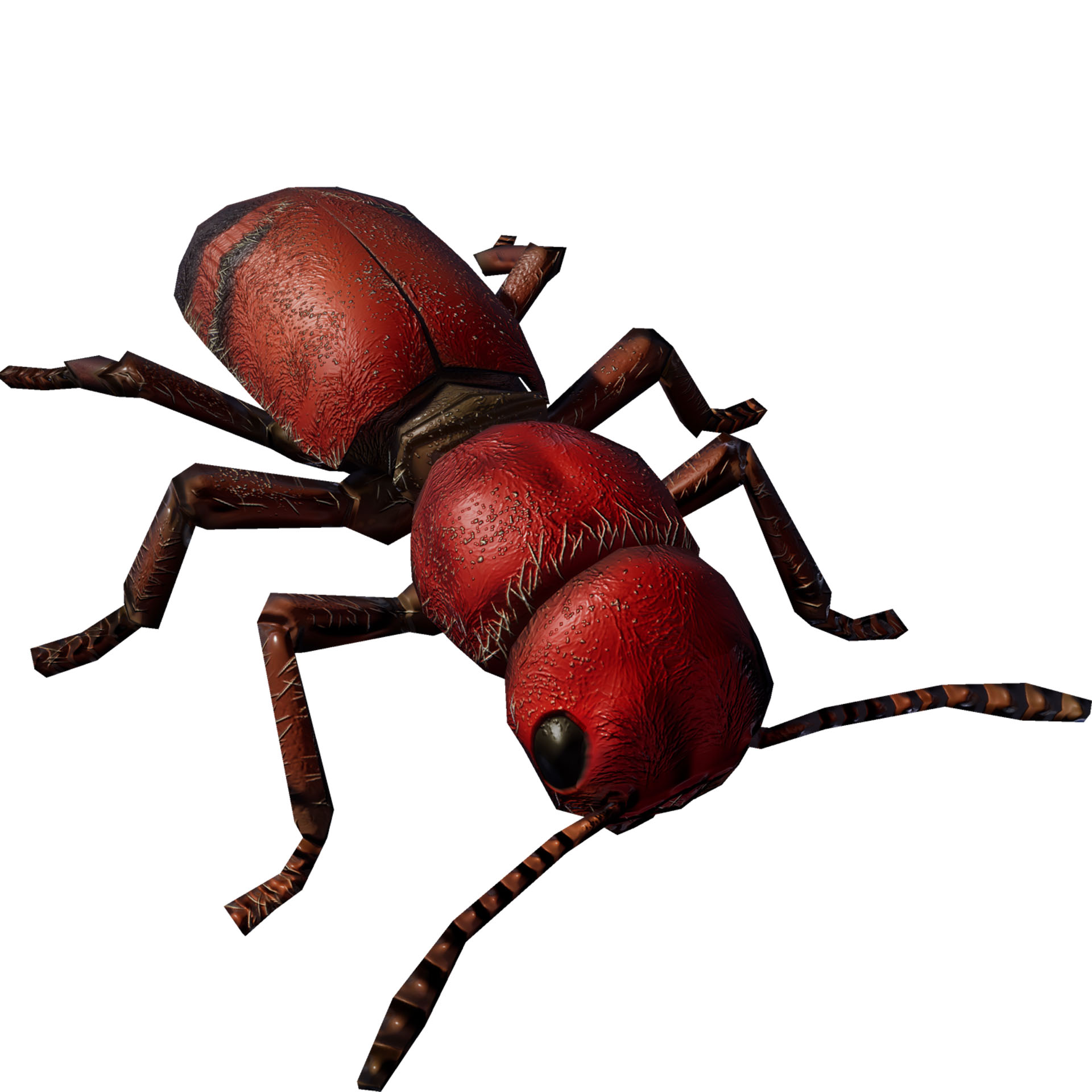dblz_Creatures_swamp_CheckeredBeetle.png