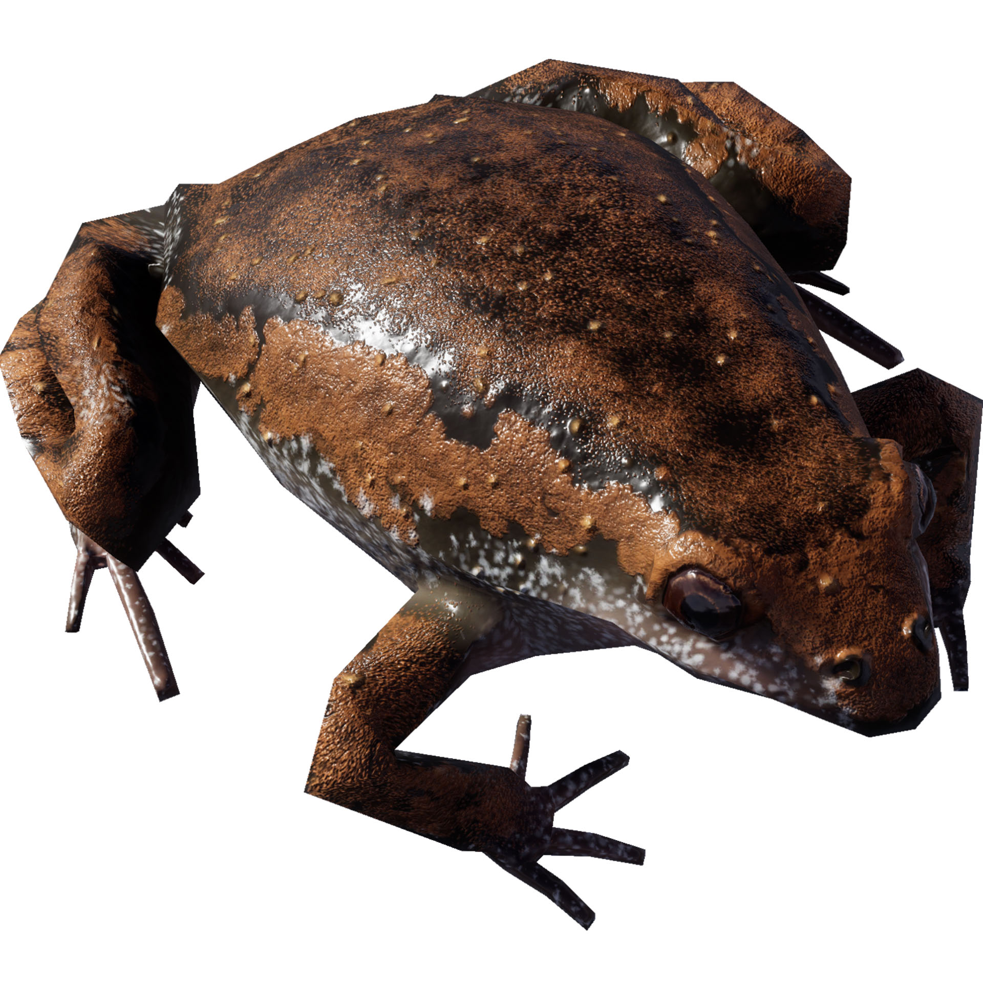 dblz_Creatures_swamp_NarrowMouthedToad.png